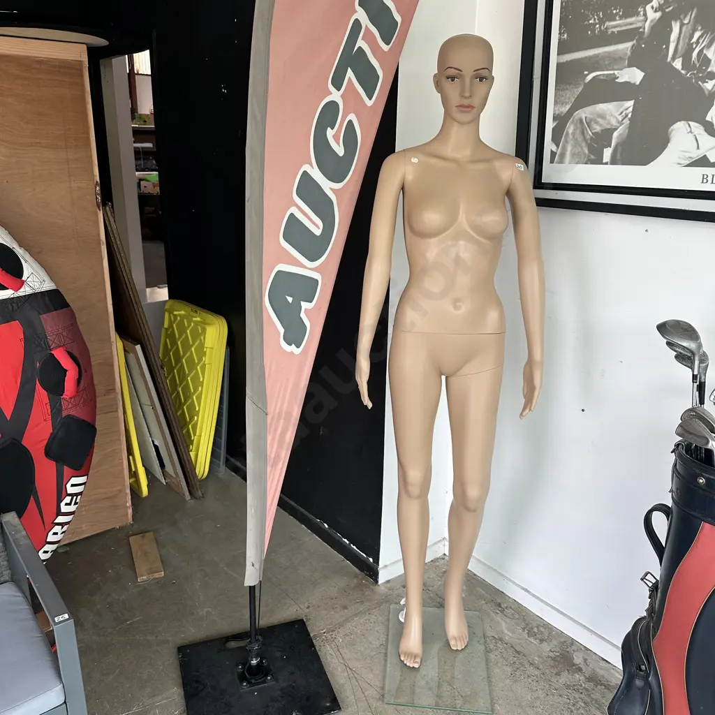 mannequin Image 1++