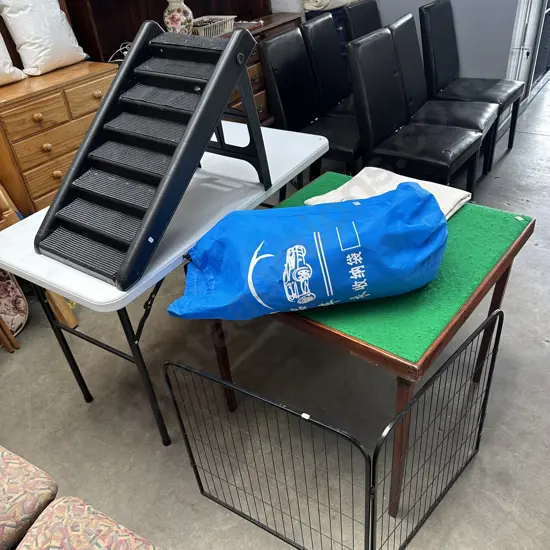 car cover, screen and doggy steps