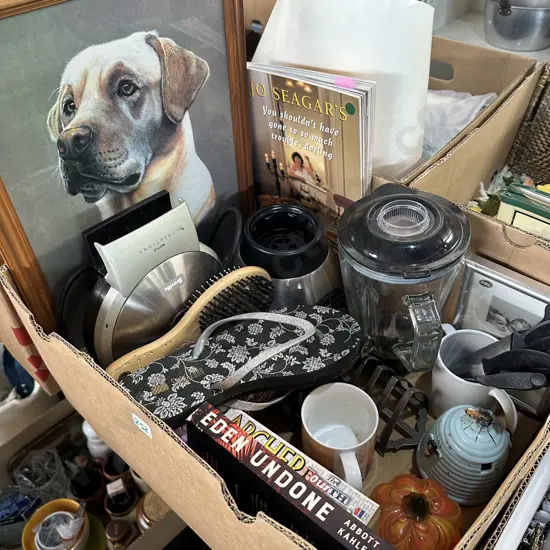 Box lot with blender, books and picture frames,