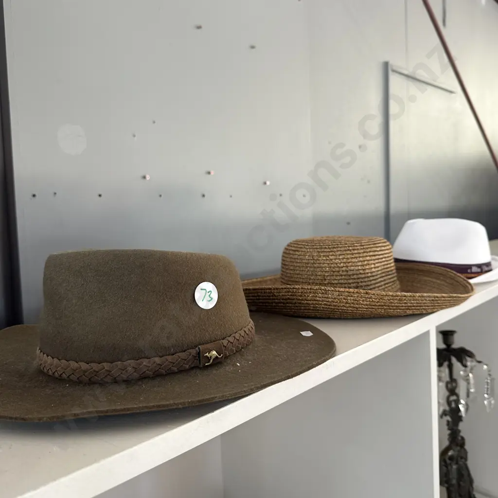 3 hats inc Australian felt hat Image 1++