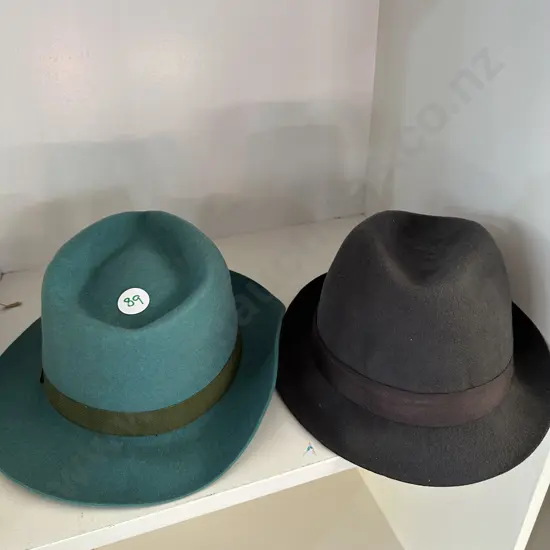 2 new felt hats