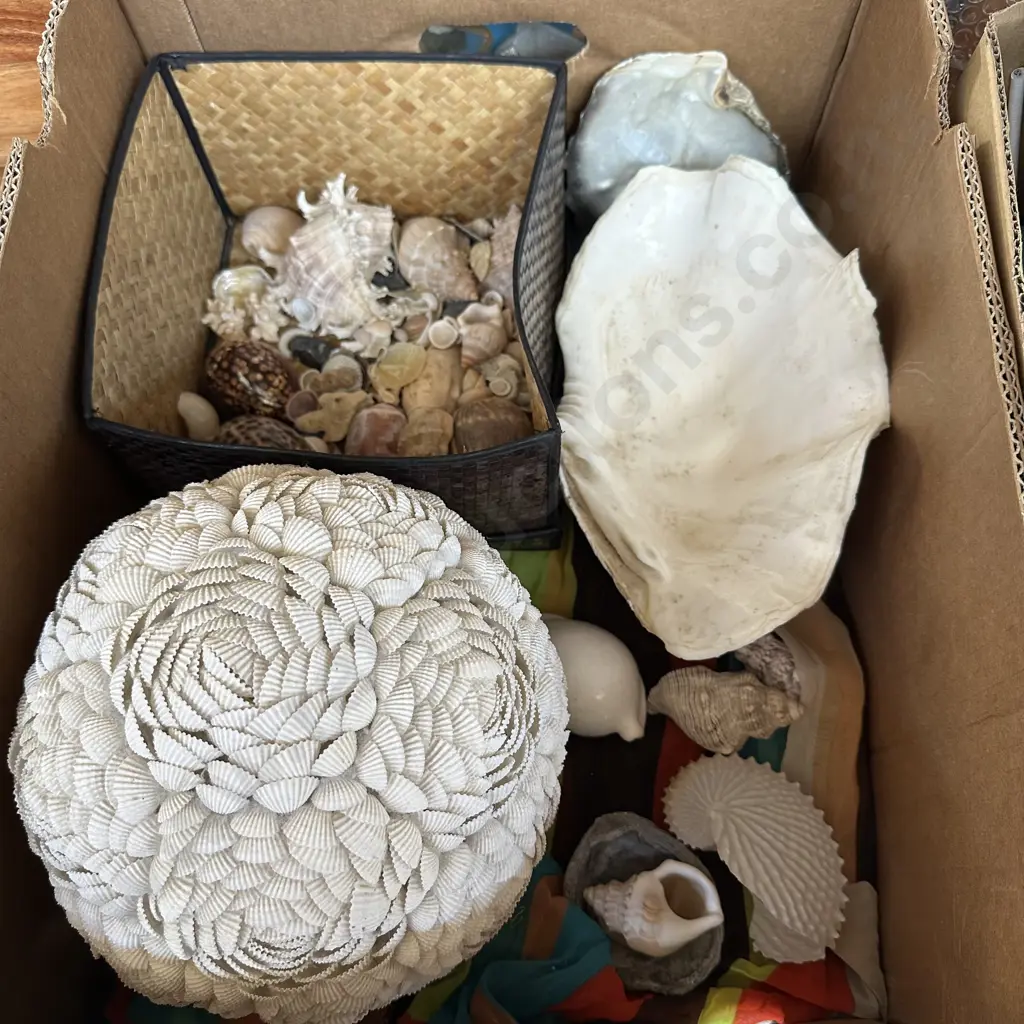 Shell collection inc handmade lamp shade of tiny shells Image 1++