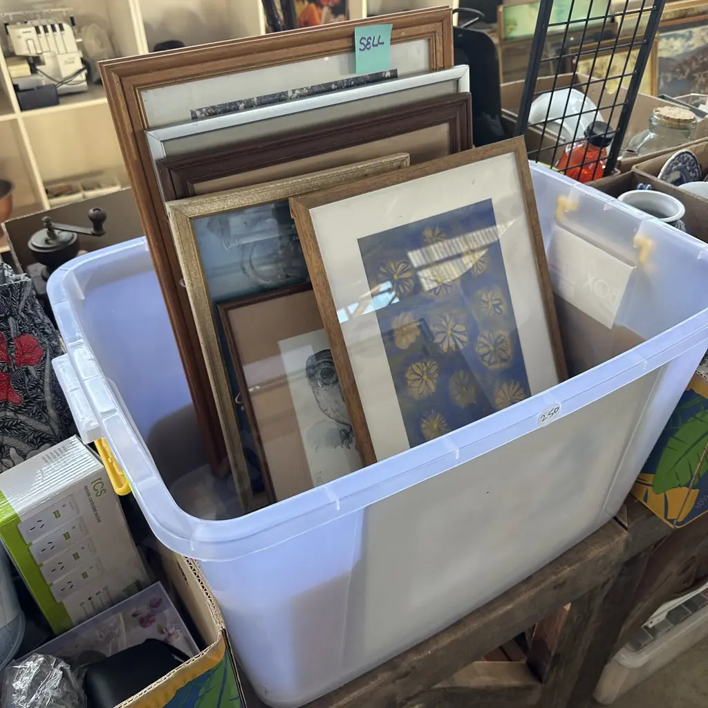 bin of pictures Image 1++