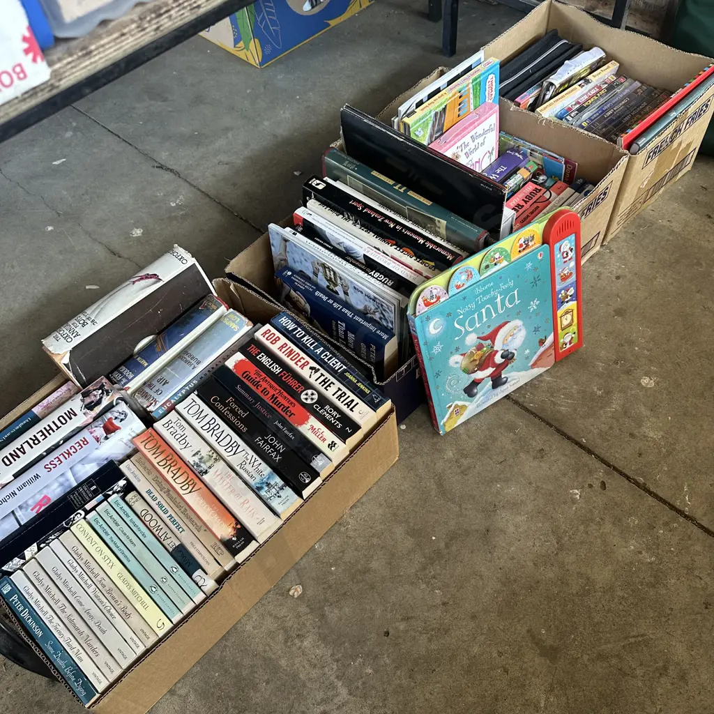 4 boxes, books, DVDs, Touchy-Feely Santa Image 1++