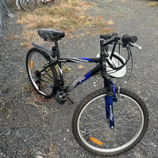 kids bike