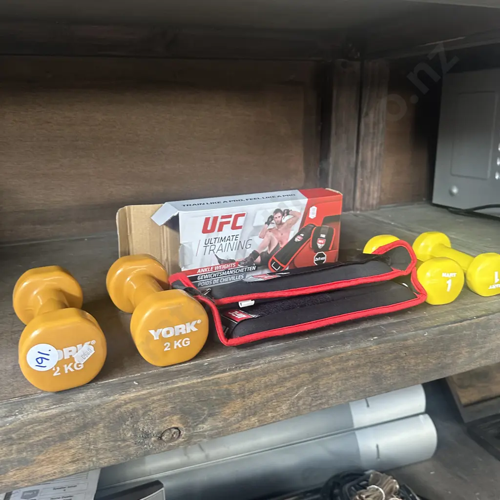 Hand and ankle weights. Image 1++