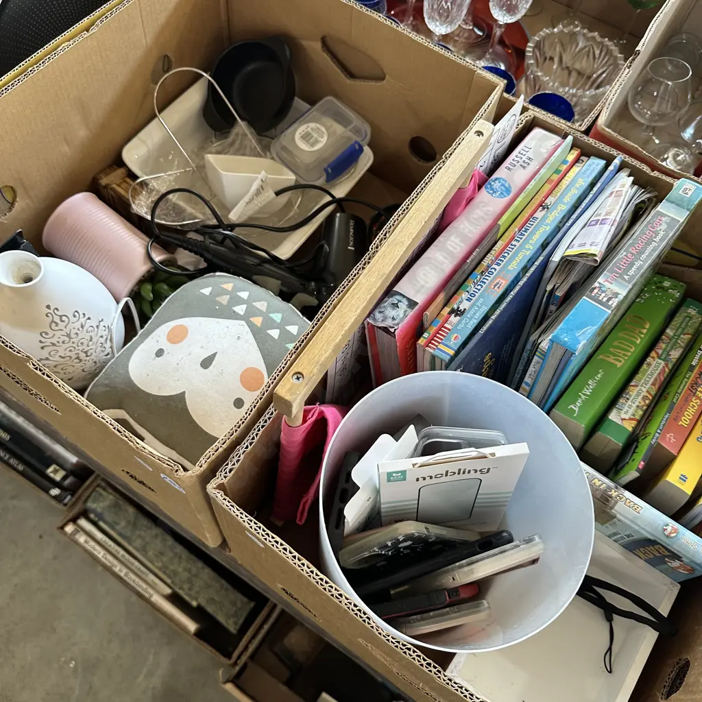 Two boxes books, cell phone covers, artificial plant etc. Image 1++