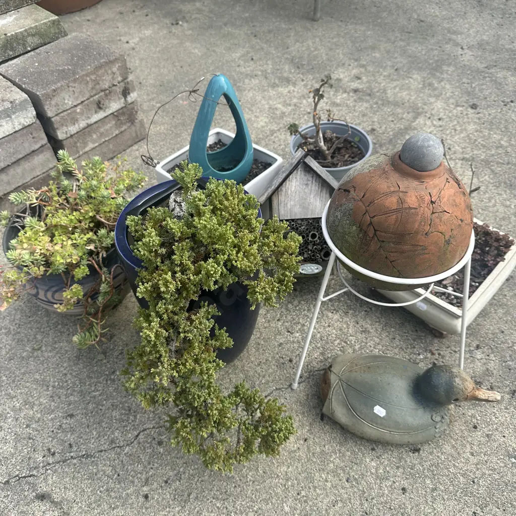 garden plants, pots, hanger, pottery, stand, etc Image 1++