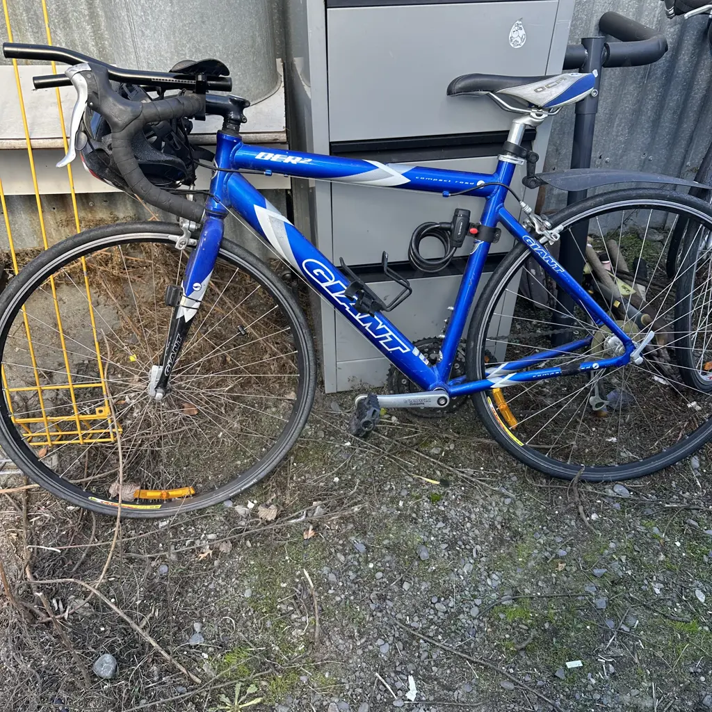 Giant Rd bike Image 1++