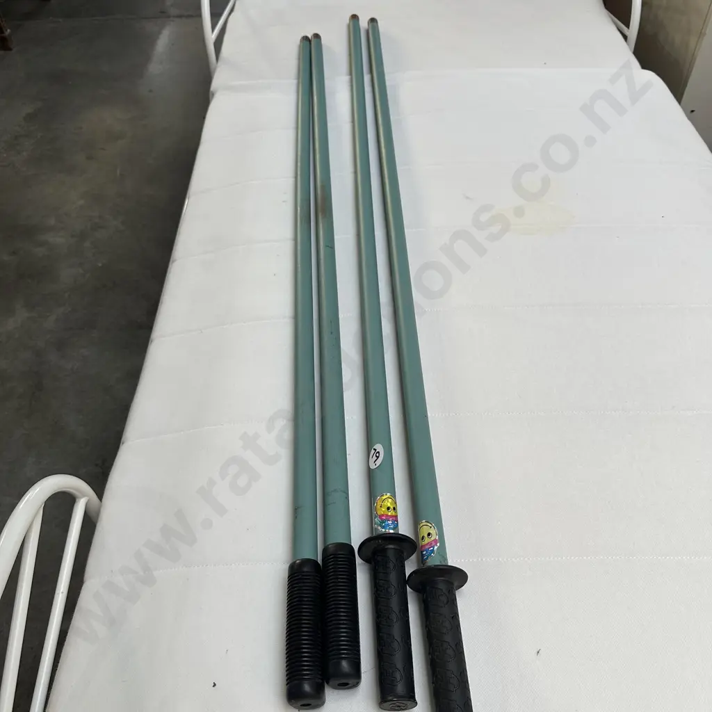 2pr hiking poles Image 1++