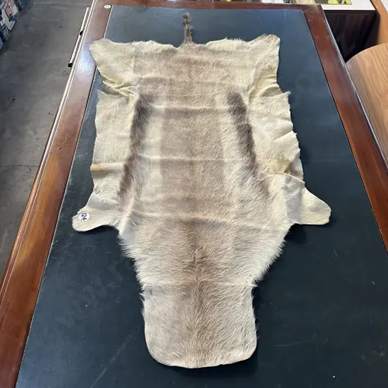 African hide 1220 in lenght