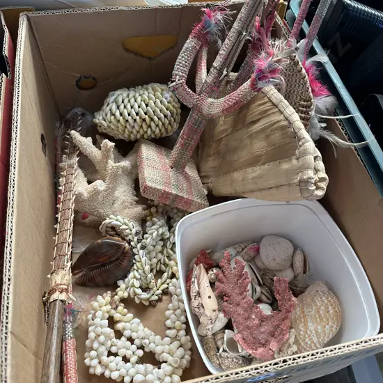 Box of shells and shell art.