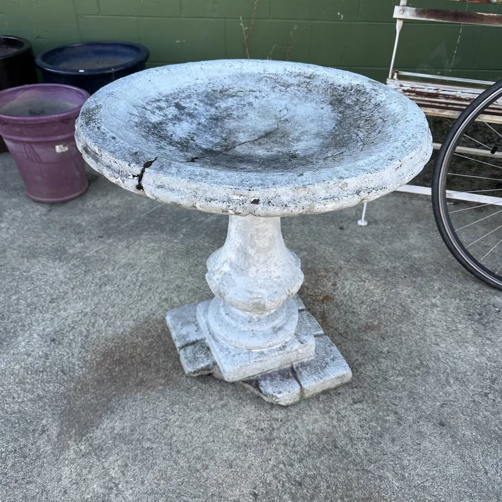 bird bath- damaged Image 1++