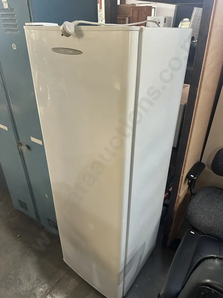 Vertical freezer Image 1++