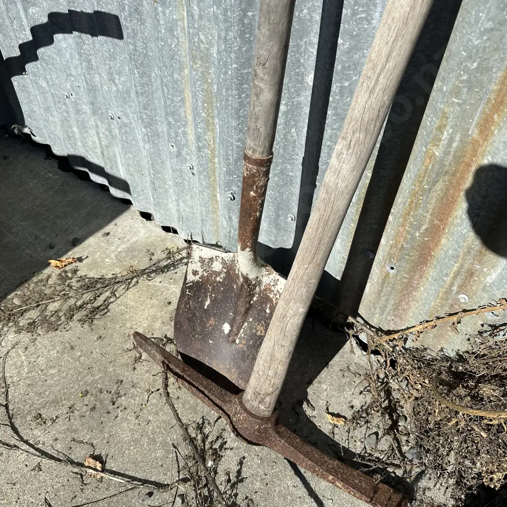 Pick and shovel Image 1++