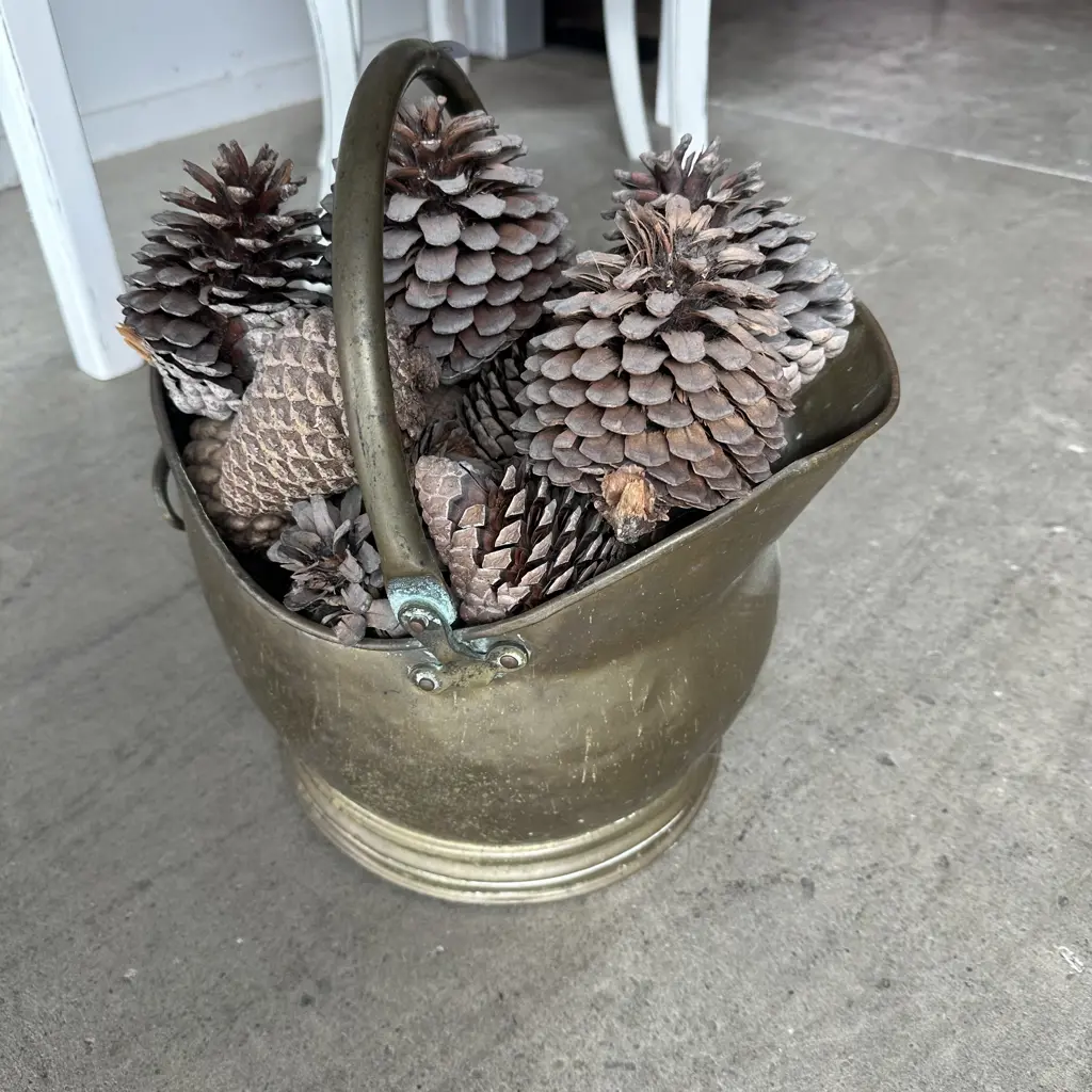 Brass coal scuttle & pinecones Image 1++