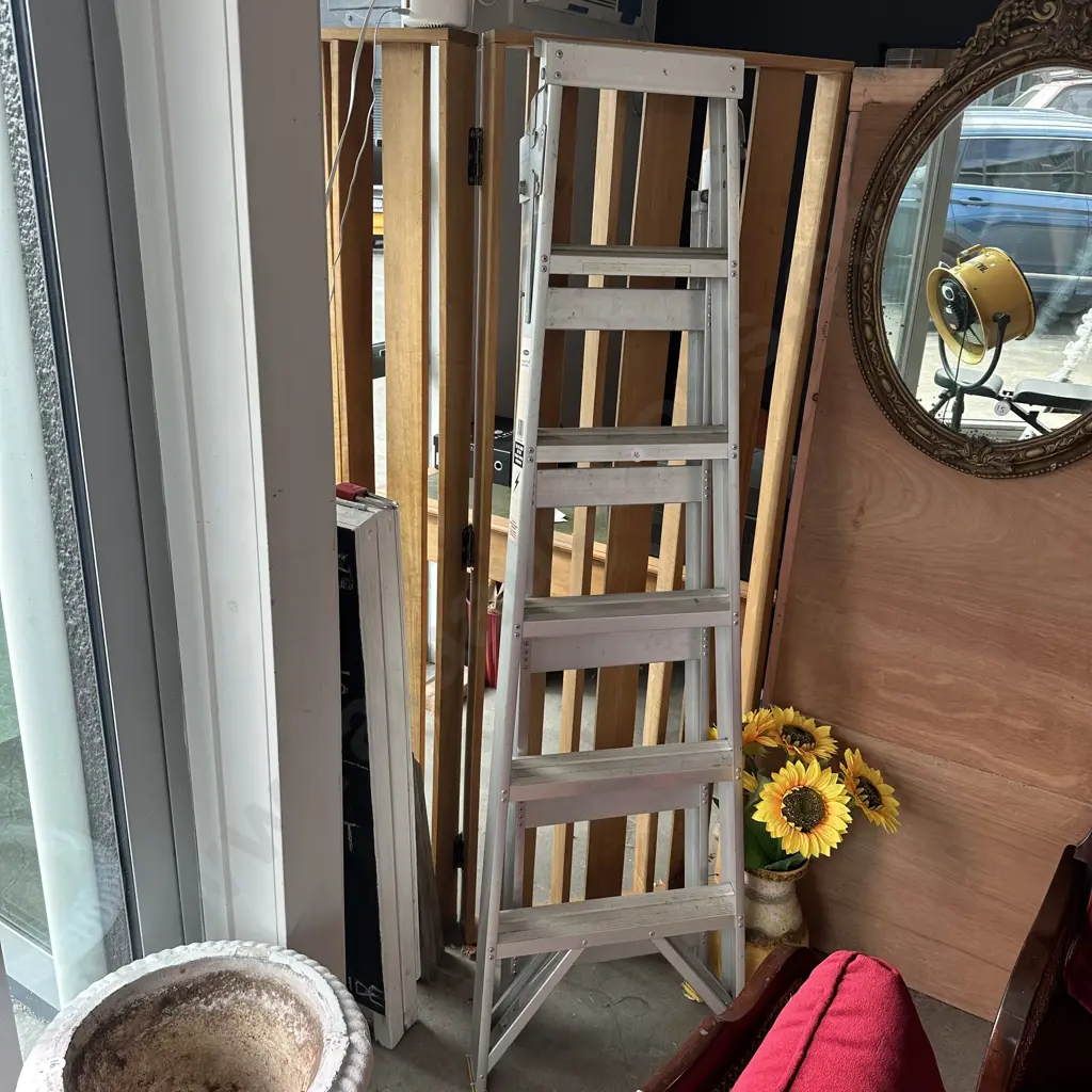 Tidy Butlers 6 foot ladder Image 1++