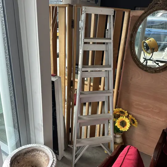 Tidy Butlers 6 foot ladder