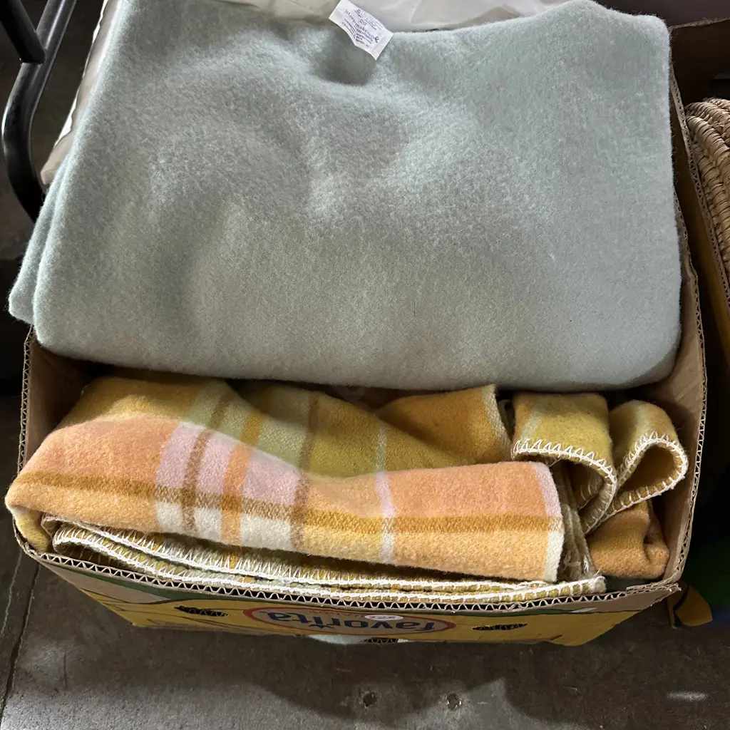 Pair of Princess pure wool blankets plus other vintage wool blanket. Image 1++
