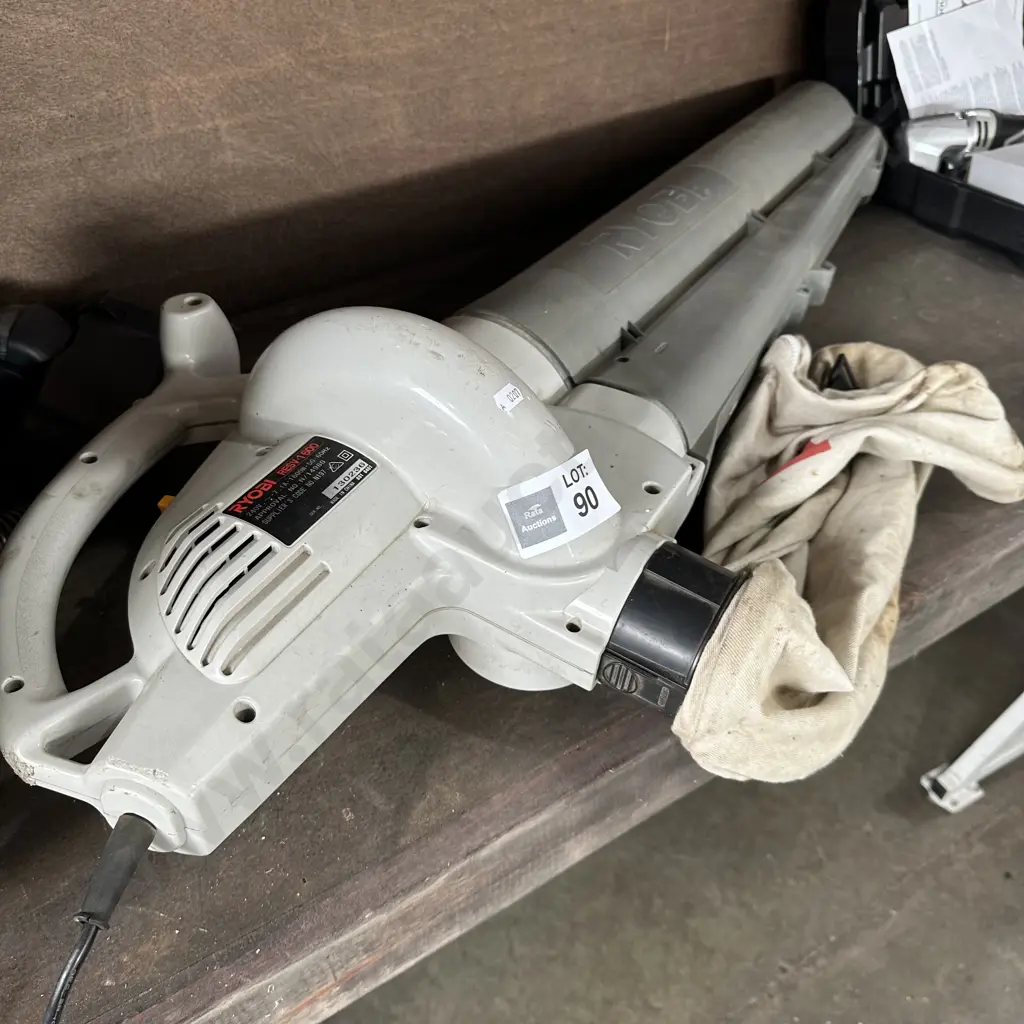Blower vac Image 1++