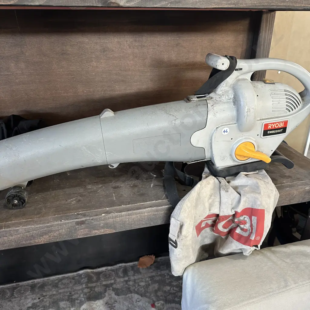 Ryobi blower vac Image 1++