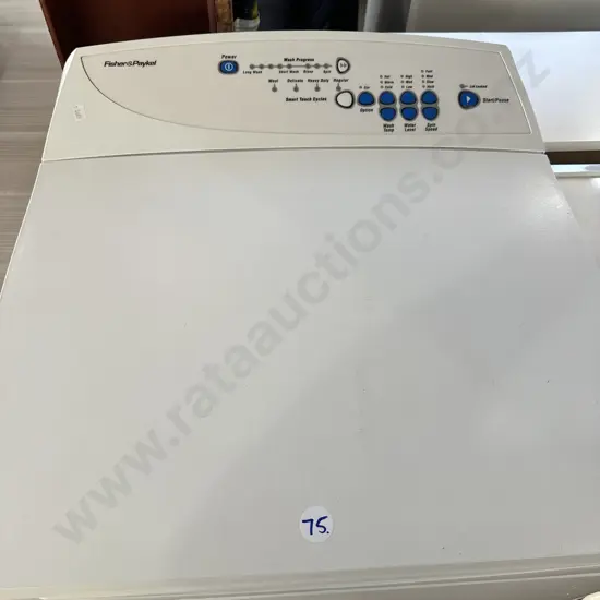 F & P auto washer