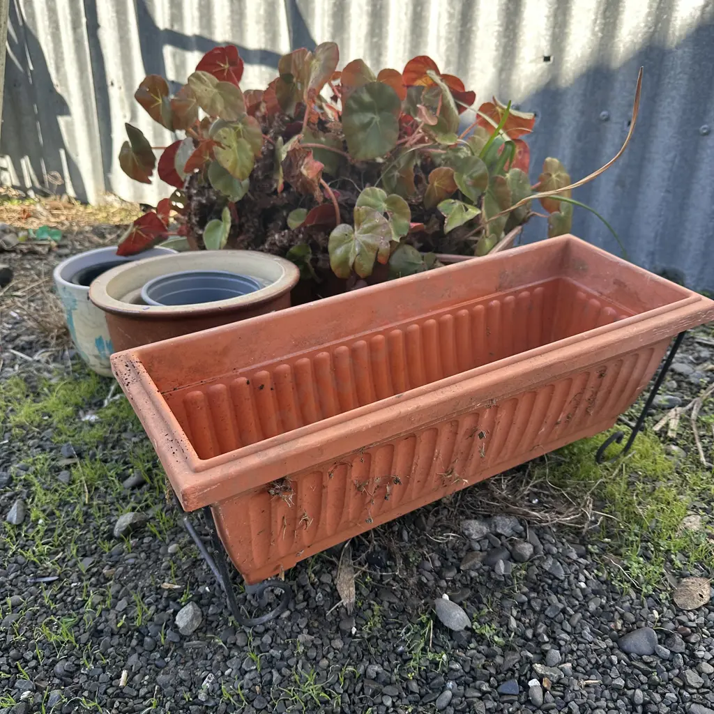 planters and plant Image 1++