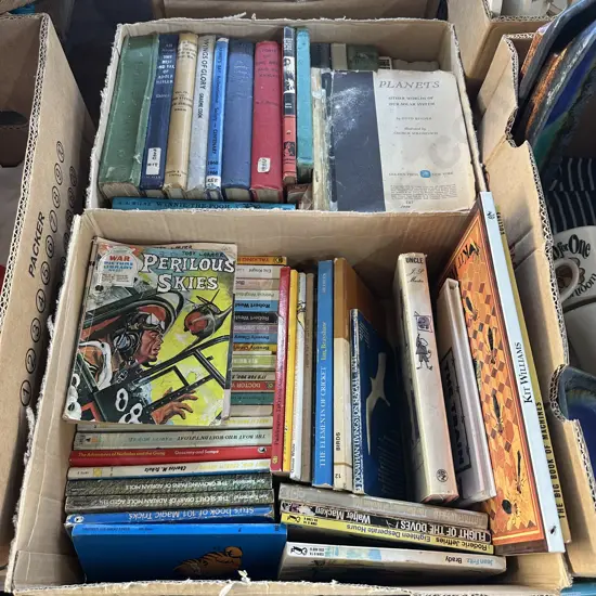 Two boxes of old books and comics.