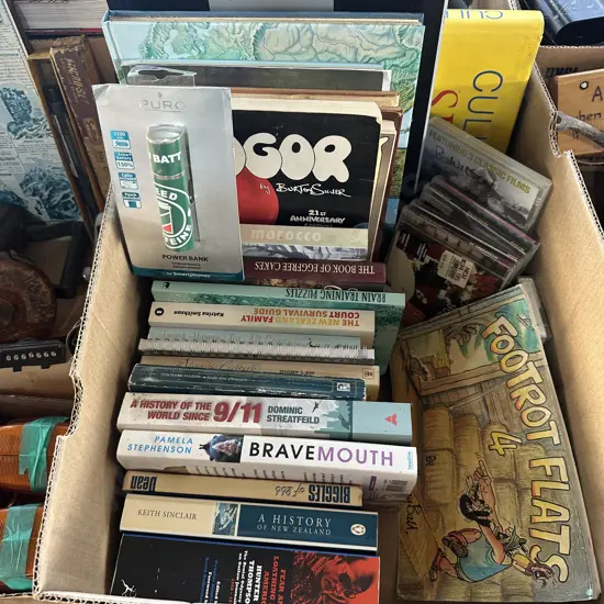 Box of books including Footrot Flats plus phone power bank etc.