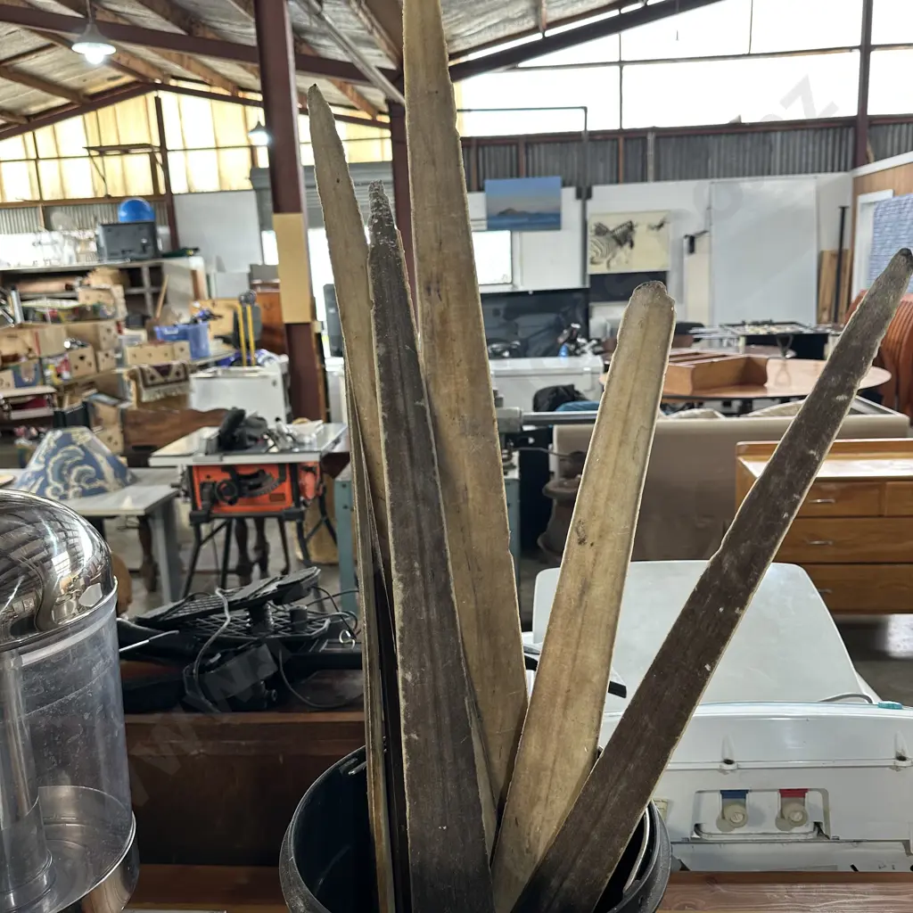 Swordfish bills Image 1++