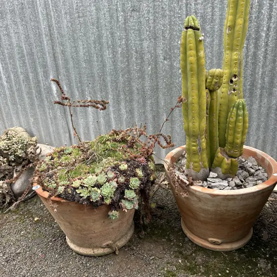 pr terracotta planters