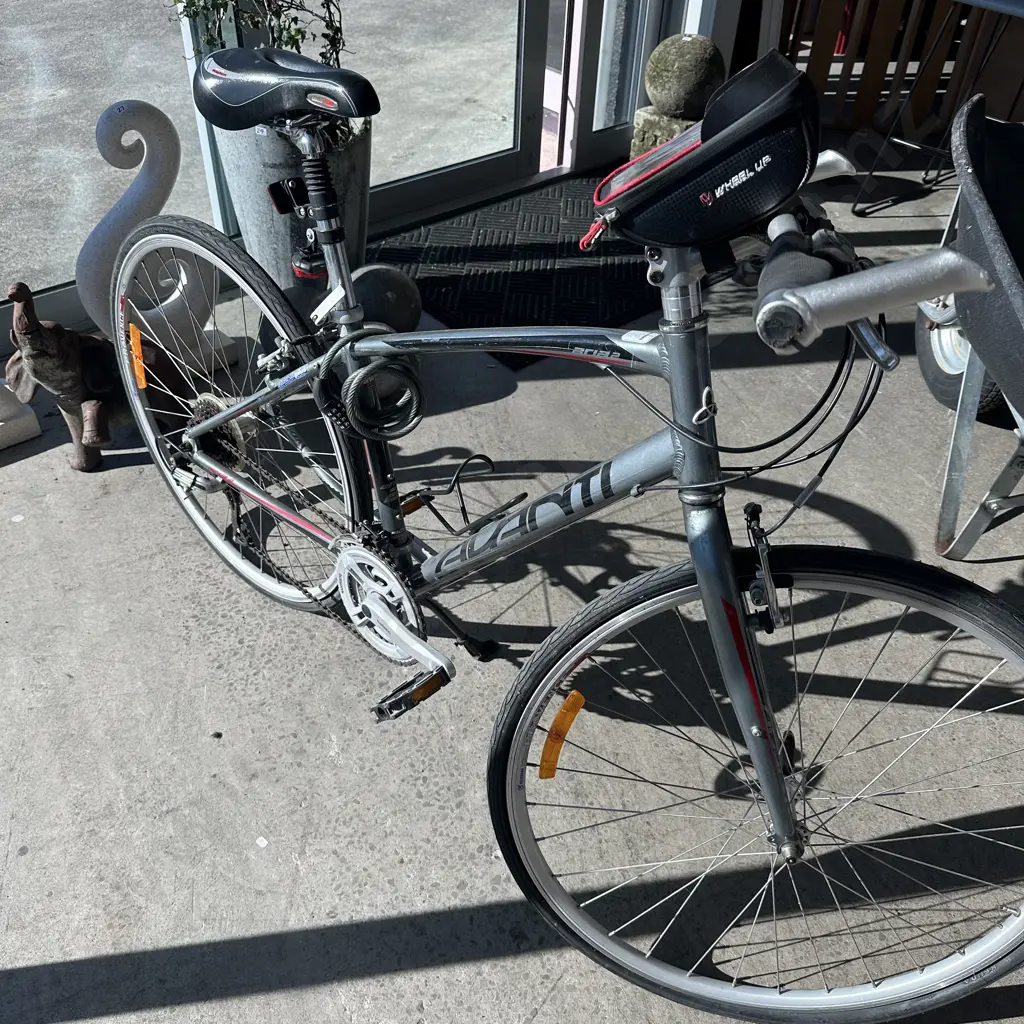 Avanti road bike Image 1++