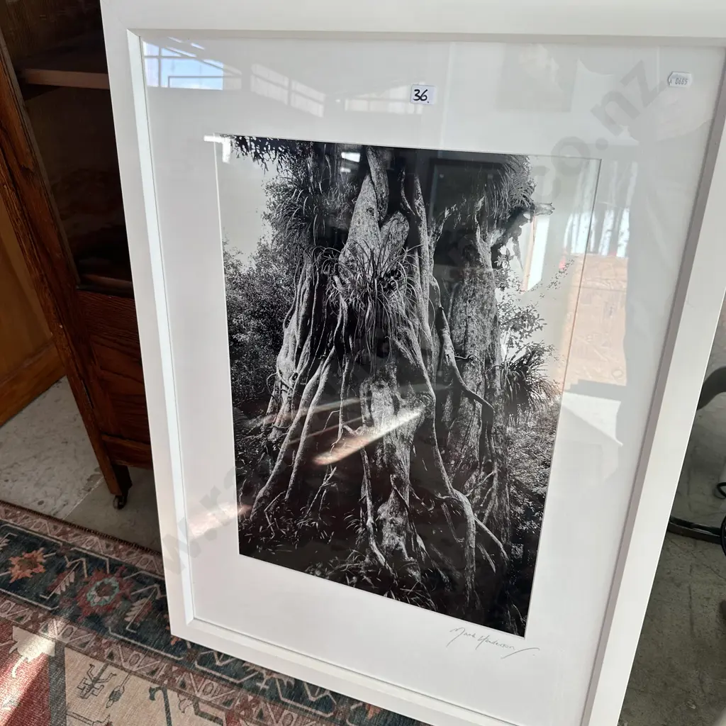 framed photo by Mark Henderson Image 1++