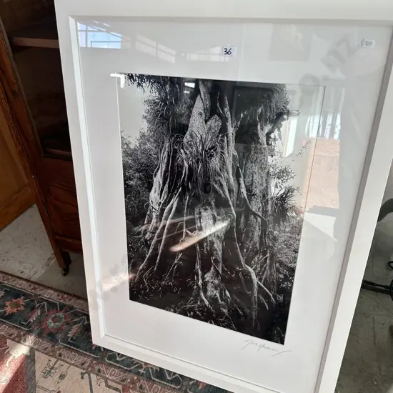 framed photo by Mark Henderson