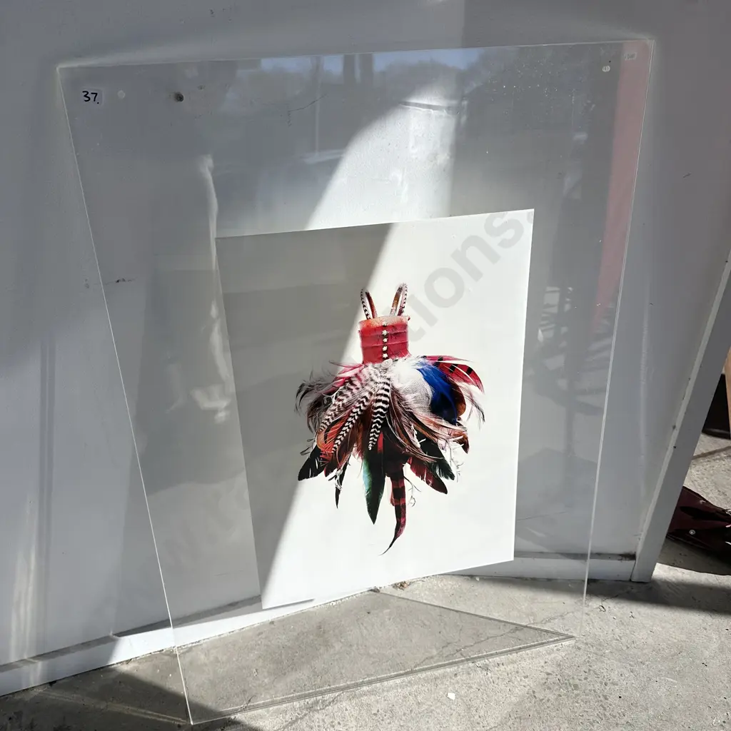 feather art in hanging frame Image 1++
