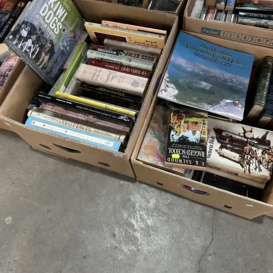 Two boxes of books.