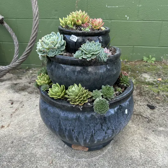 3 tier planter