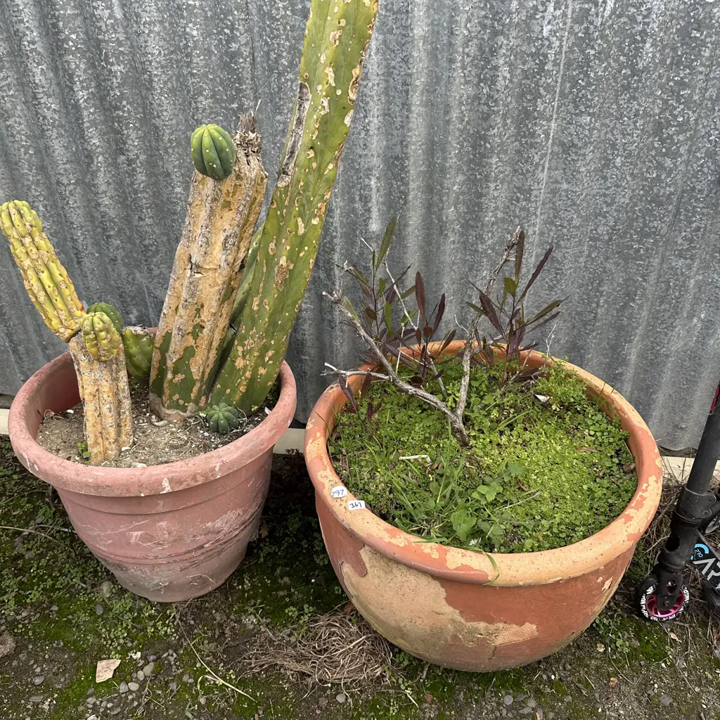 2 large planters Image 1++