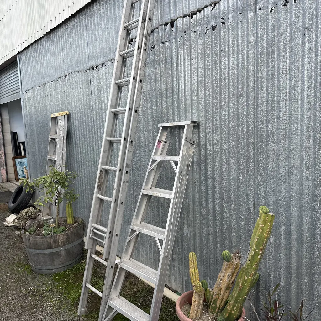 2 ladders Image 1++