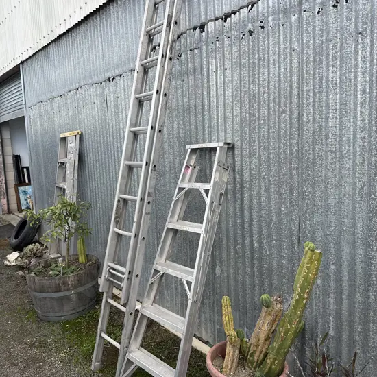 2 ladders