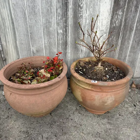 pr planters, hydrangea and other