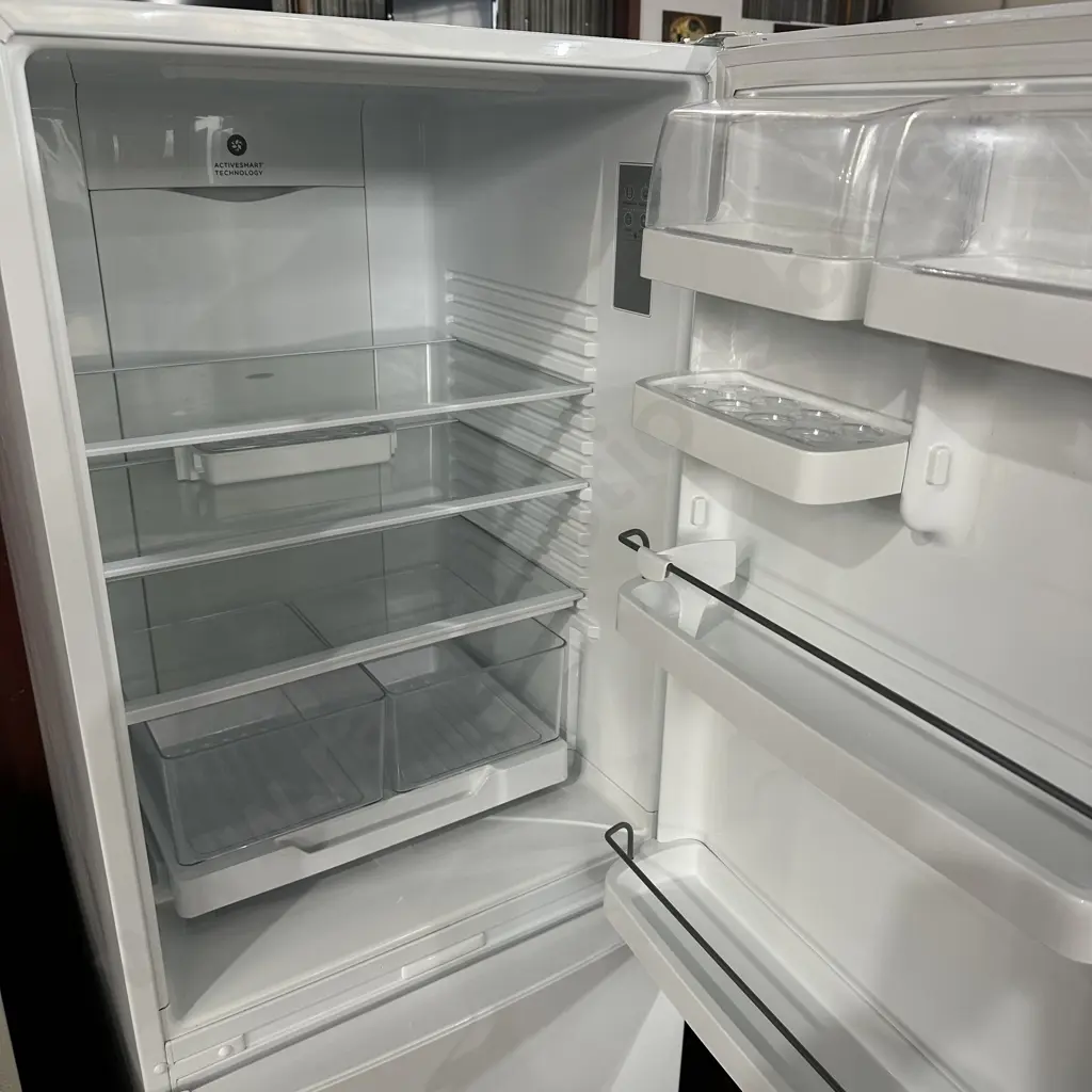tidy F&P fridge freezer Image 1++