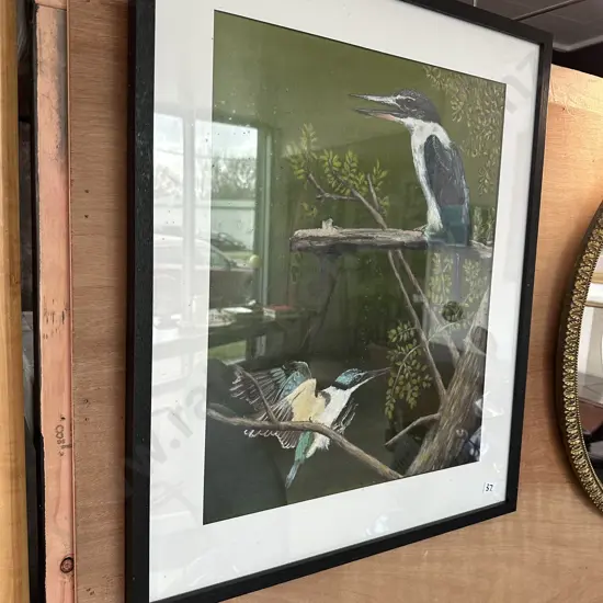 Kookaburra picture