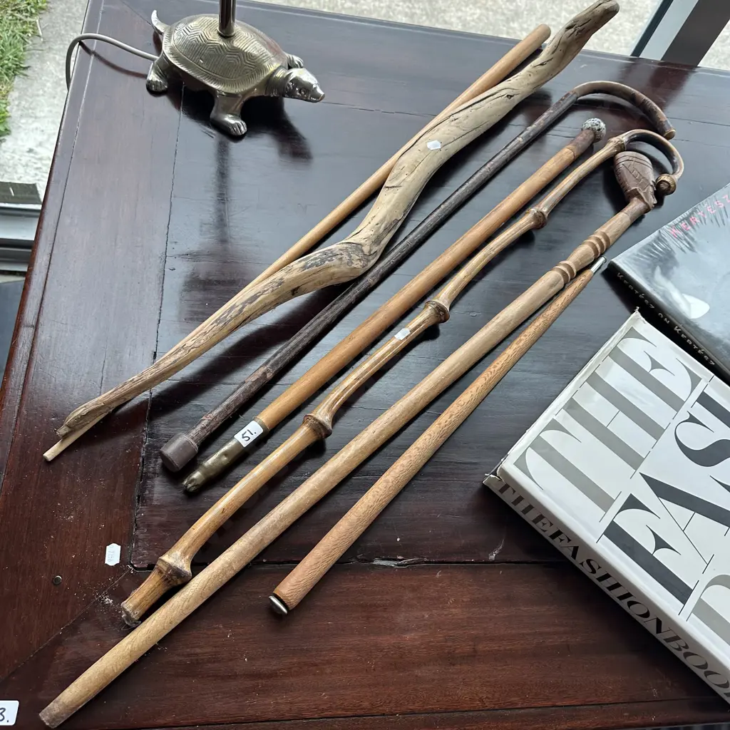 walking stick collection Image 1++