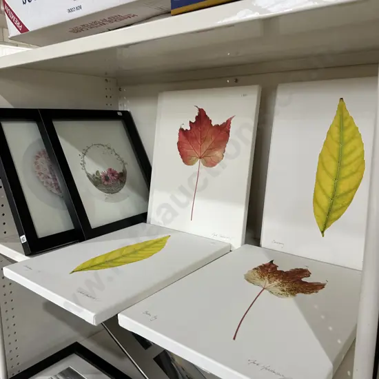 9 new pieces of art