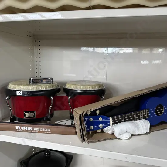 Remo drums, makala, recorder, harmonica