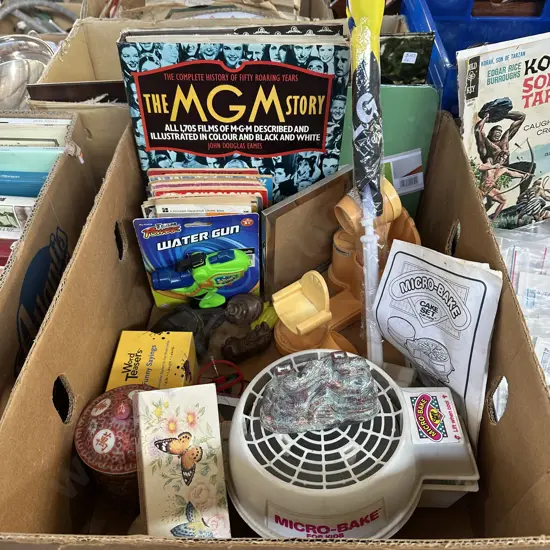 Box lot books, toys, picture frame etc.