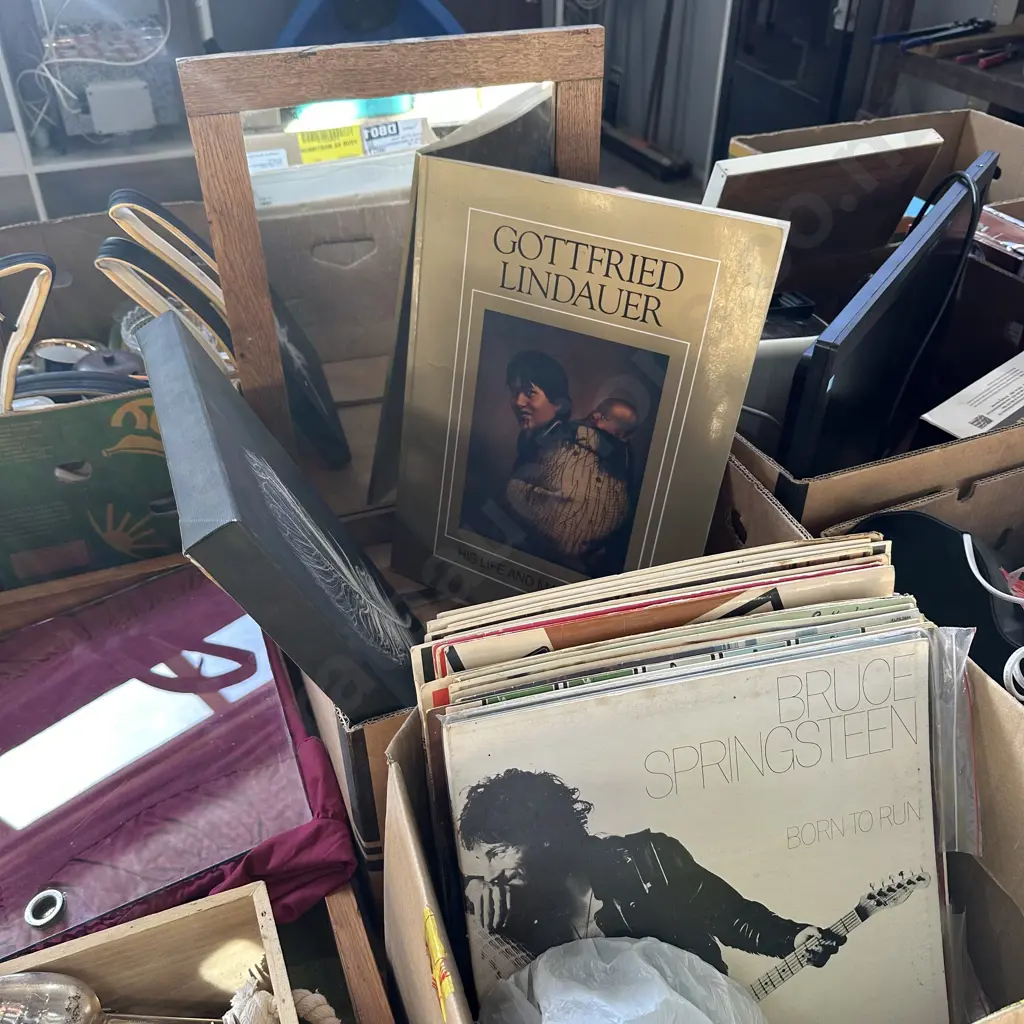 Box of records plus mirror, picture and Maori art book Image 1++