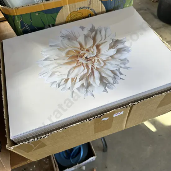 Box of placemat pads.