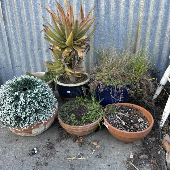 6 planters